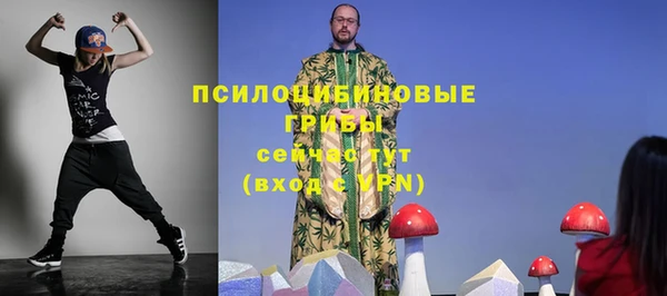 а пвп мука Слюдянка