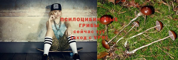 шишки Снежинск