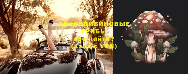 ALPHA PVP Верея
