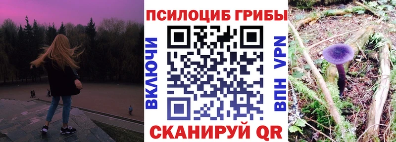 Псилоцибиновые грибы Psilocybine cubensis  МЕГА ссылка  Северобайкальск  закладка 