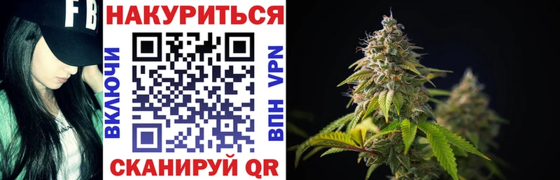 Бошки Шишки сатива  kraken ссылки  Северобайкальск 